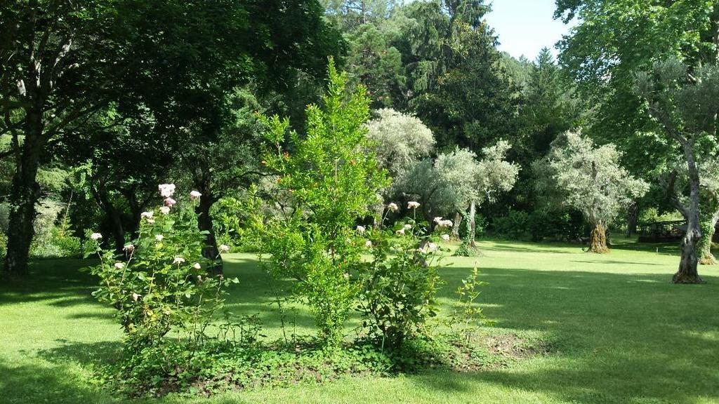 Rancho La Herradura Arenas de San Pedro Ruang foto