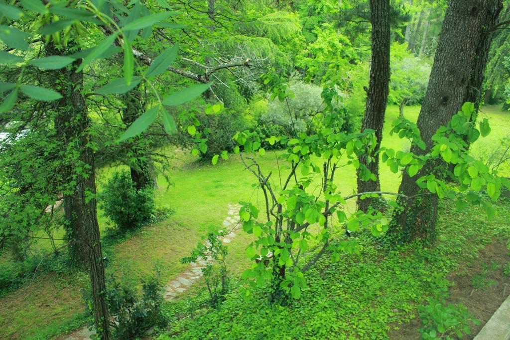 Rancho La Herradura Arenas de San Pedro Ruang foto